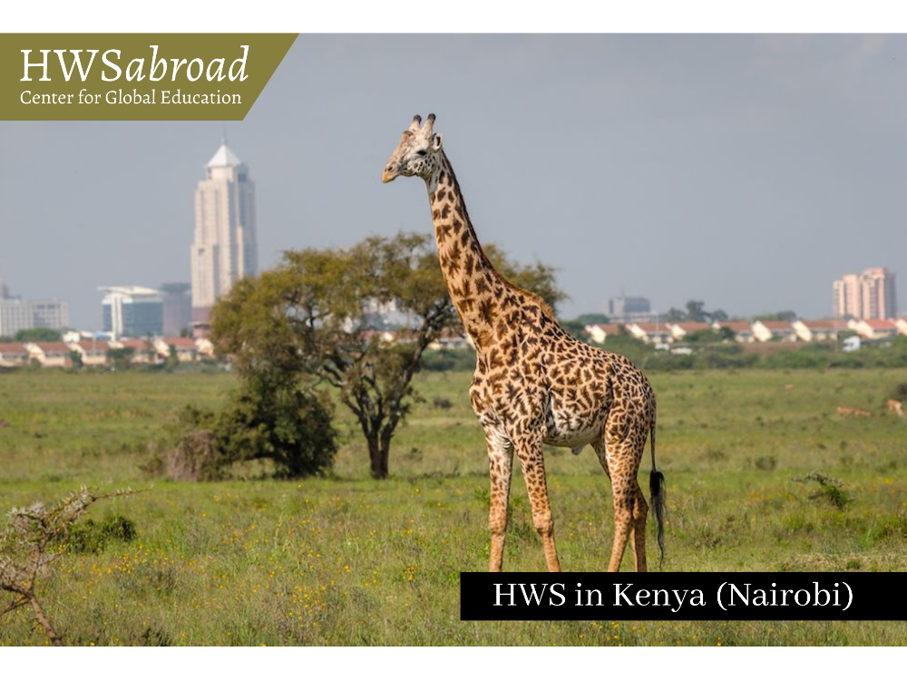Kenya (Nairobi) Tile